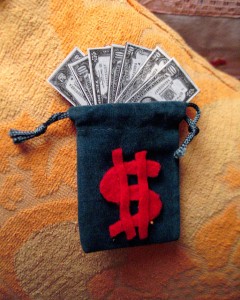 money pouch